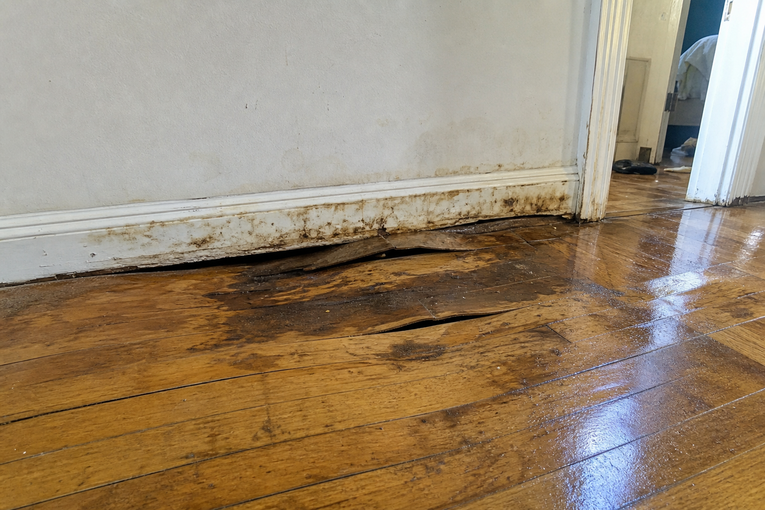Floor fix